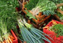 Índice de preço de alimentos da FAO fica estável em novembro ante outubro